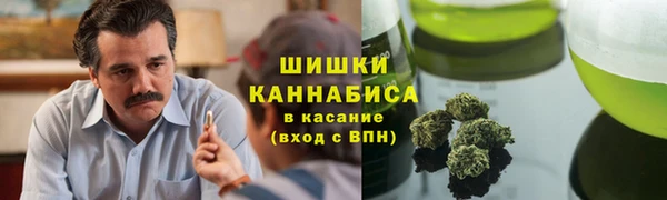 прущий лед Козловка